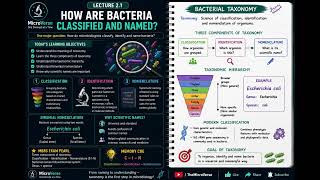 Lecture 2.1: How Do We Classify and Name Bacteria | Bacterial Taxonomy | MicroVerse