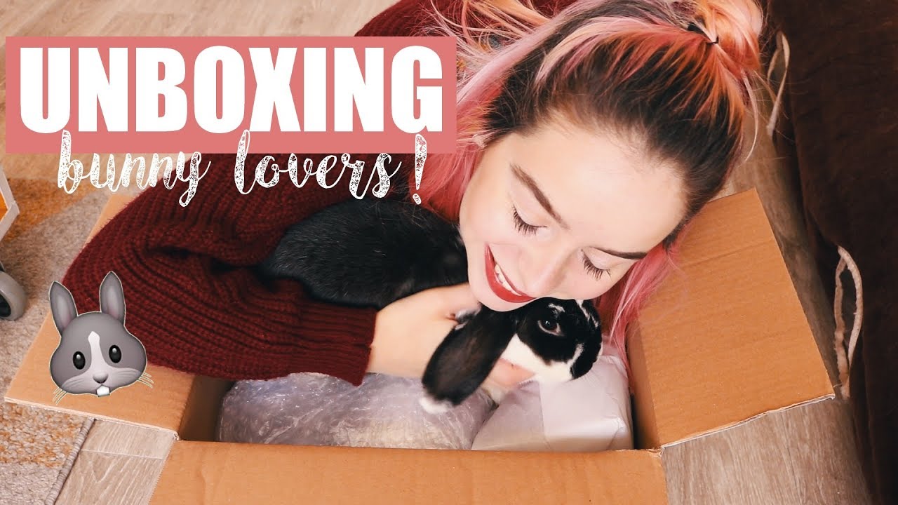 UNBOXING Rabbits World | Avoir un lapin