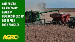 Record soybean harvest in Ascension: The new generation of soybeans exceeds 6,200 kilos