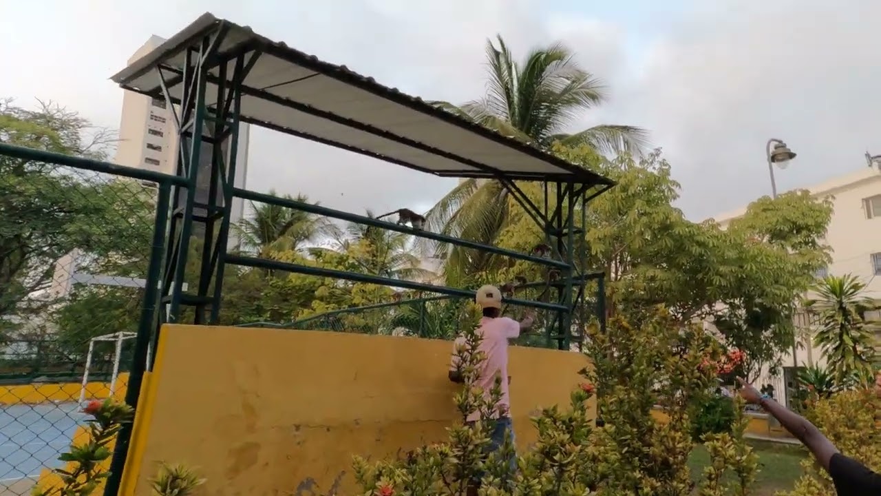 Monkey Sightings in  Old Town Cartegena Park