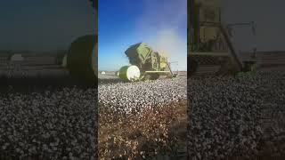 John Deere cotton harvester#cotton #johndeere #cottonharvester #agriculturalmachinery