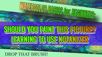 Step by Step: How to Use NotanIzer for Values and Shapes