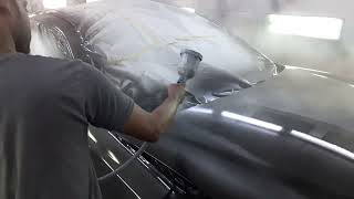 LEXUS paint code number 217 full body painting.
