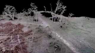 Celebrity Mapping fire fuel load with a drone - Fly through a virtual landscape Profile