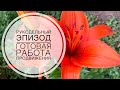 Рукодельный эпизод (22-30.06). Вязание и вышивка. Одна готовая работа 🧶
