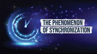 The Phenomenon of Synchronization