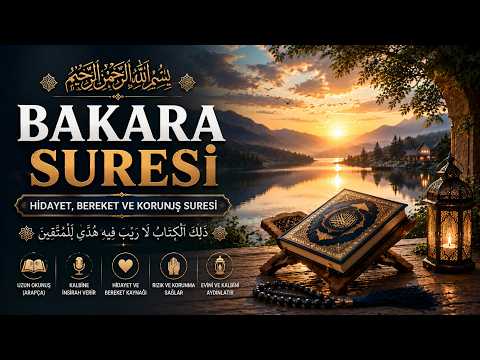 Bakara Suresi | Ayetel Kürsi ve Amenerrasulü ile Tam Sure | Kuran Dinle