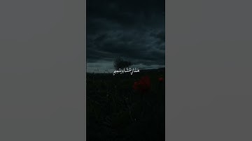 تلاوة تنسيك هموم الدنيا