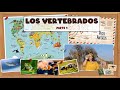 Los animales vertebrados - Parte 1 - Peces y anfibios. Bio[ESO]sfera