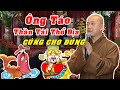 Vấn Đáp | Nhà Ai Có Thờ Ông Táo  - Thần Tài - Thổ Địa Tuyệt Đối Không Được Bỏ Qua Video Này