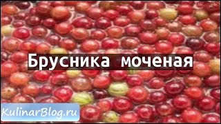 видео Мочение брусники