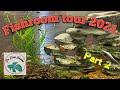 Fishroom tour part 2 2021