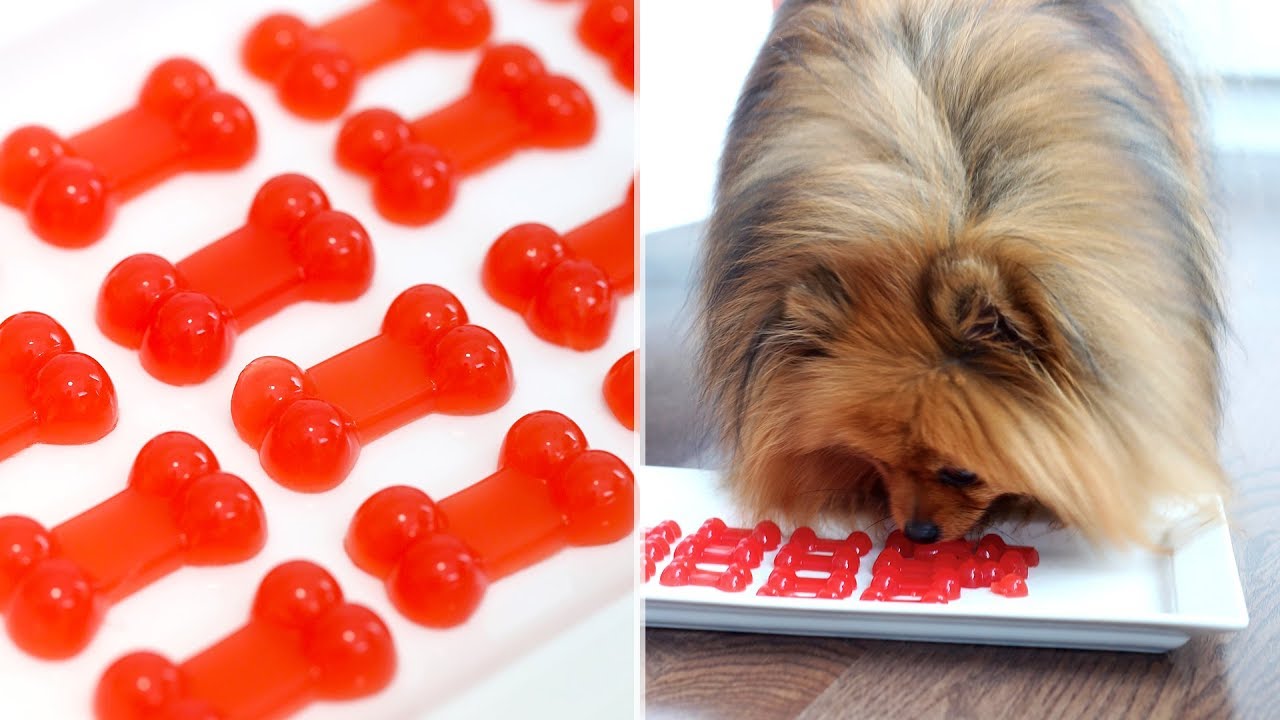 Make Gummy Bears FOR DOGS!! | RECIPE 