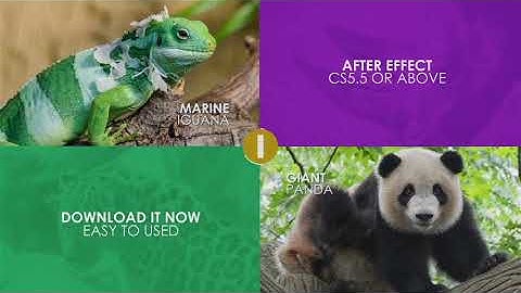 After Effects Template - Flat Logo Animation