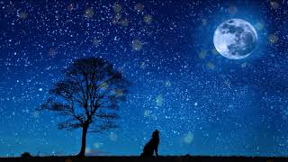 Relaxing Music for Stress Relief, 1 Hour,  Sleep Music, Stress Relief:  Moonlight Sonata - Beethoven