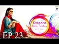 Dhaani - Episode 23 | Har Pal Geo