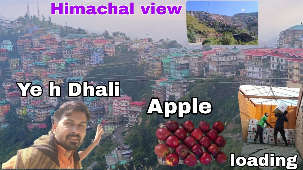 Apple 🍎 loading ✅ // Ye h Dhali // Himachal view  