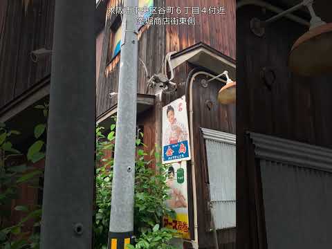 大阪市中央区谷町6丁目4付近 (空堀商店街東側) #からほり #井戸 #レトロ
