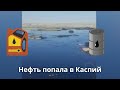 Нефть попала в Каспий с бесхозного месторождения в Мангистау