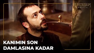 Pargalı, Sultan Süleyman'ın Önünde Diz Çöktü | Muhteşem Yüzyıl  12. Bölüm