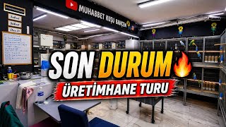 Muhabbet Kuşu Üretimhanemde Son Durum! 🔥 Tüm Değişiklikler 