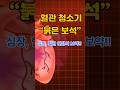 혈관 청소기! 심장,혈관건강의 보약은?  #건강 #건강정보 #건강관리 #건강식단 #혈관건강#심장건강