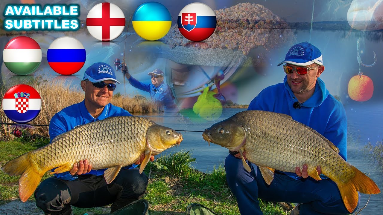 Большие карпы, с большого расстояния! Фильм Доме Габора