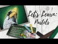 Let's Learn: Pastels (Soft Pastel, PanPastel & Pastel Pencils) | Mini Series Exploring New Mediums