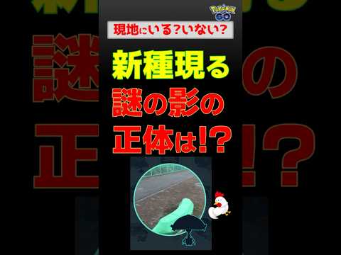 【新種！謎の黒い影を追って、急げ】 #ポケモンgo #pokemongo #ポケモン #マシェード