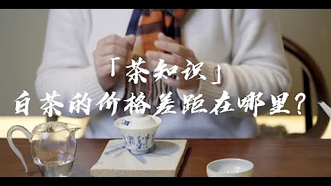 吃茶去｜「茶知识」白茶的价格差距在哪里？ - 天天要闻