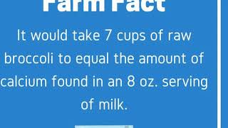 Old River Elementary - Moo Moo Missters