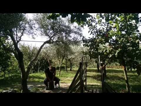 80 Kg PULLUP ATTEMPTS @70 Kg BODYWEIGHT (CHIN TO BAR) [01/10/16]