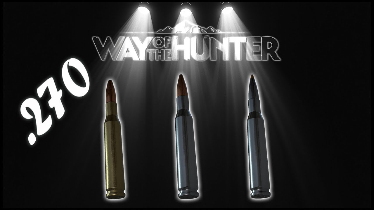 Guide to the .270 ammo change types - Way of the Hunter