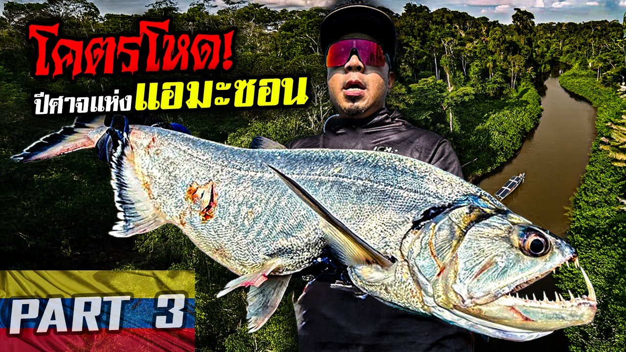 ล่องเรือล่า 'ปลาแวมไพร์' ปีศาจแห่งดินแดนแอมะซอน!