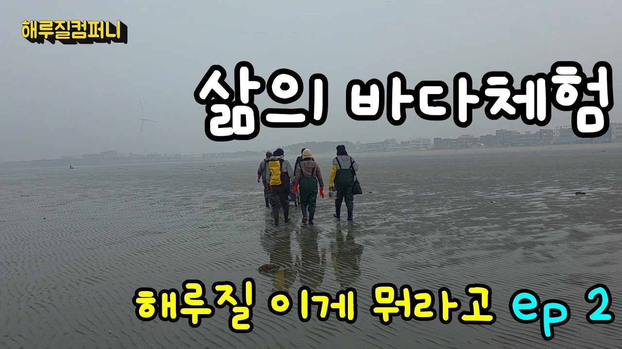 해루질 이게 뭐라고 ep2#무료갯벌# 삶의바다체험#경기북부워킹해루질