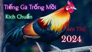 Tiếng Gà Mồi Gáy | Âm Thổ Ực | Không Tạp Âm 2024