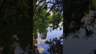Calm Coast Fork Willamette River Oregon