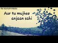 Chehra hai ya chand khila || New WhatsApp Status Video 2018 with lyrics