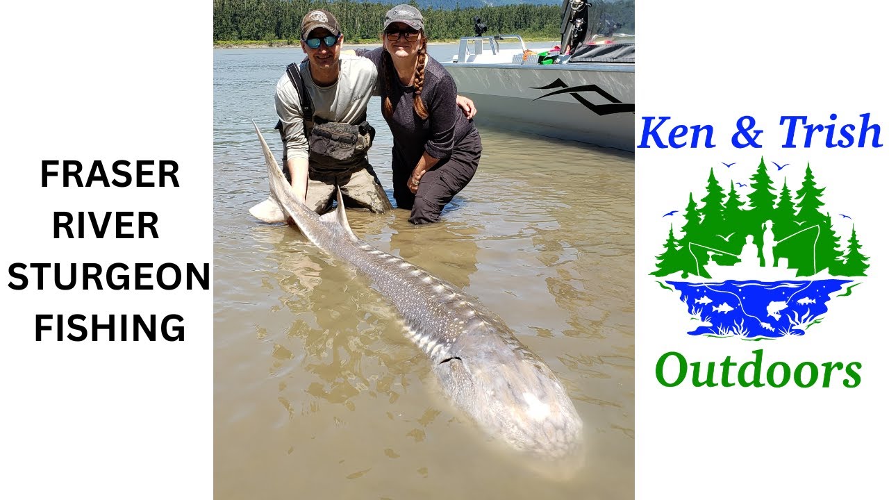 Sturgeon Fishing On The Fraser River. 