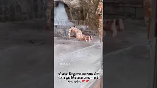 shree baba siddhnath amarnath sewa mandal lal banglow kanpur 🌺🌹🌺