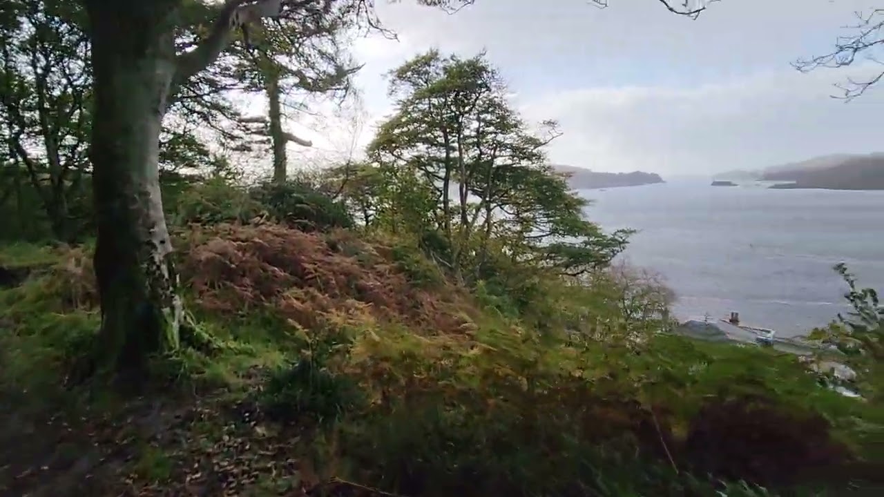 A hike at Dunollie Wood in Oban Scotland  (Unedited) October 2023