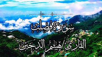 القارئ/هيثم الدخين🌼سورة فصلت🌱تلاوة خاشعة وجميلة🌼