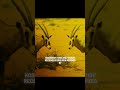 5 Epic New #techno & #housemusic Remixes of @kosheenatmoksha's Iconic "Catch" are out now!
