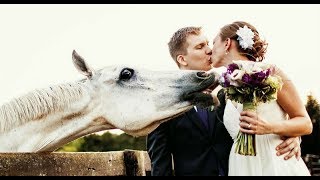 Необычные свадебные фото с животными Необычные свадебные фото с животными