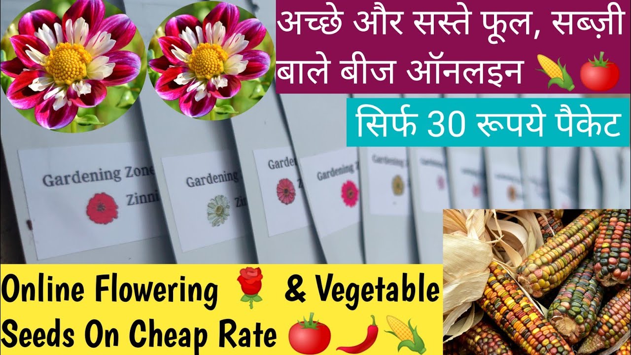गर्मी के मौसम में लगाएं फूल और सब्ज़ी के बीज 🍅 How To Buy Flower Seeds