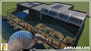 PLEASE SUGGEST AN ANIMAL!!! Armadillo Mod Habitat | Planet Zoo | Suggestion Sundays #18 screenshot 3