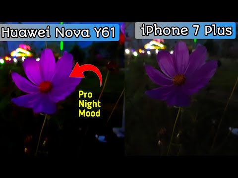Y61 Camera Huawei Nova y61 camera test vs iPhone 7 plus camera test - YouTube