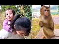 Quynh Carried Diem Into The Forest To Look For Monkey Kaka Will She See Her Quynh Carried Diem Into The Forest To Look For Monkey Kaka Will She See Her