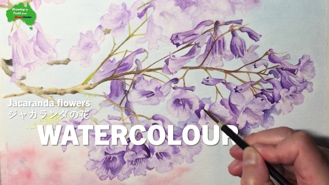 【水彩画】ジャカランダの花 | Jacaranda flowers