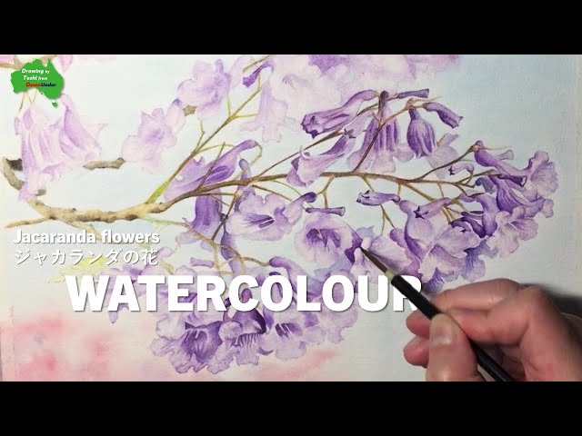 水彩画】ジャカランダの花 | Jacaranda flowers - YouTube